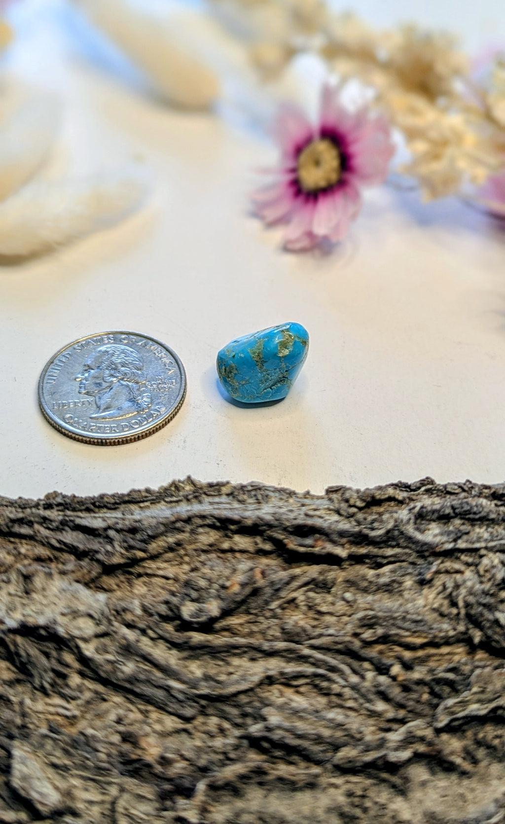 ✨ Sleeping Beauty Turquoise Nugget ✨