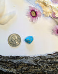 ✨ Sleeping Beauty Turquoise Nugget ✨