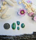 ✨Kingman Turquoise Cab Set 8✨