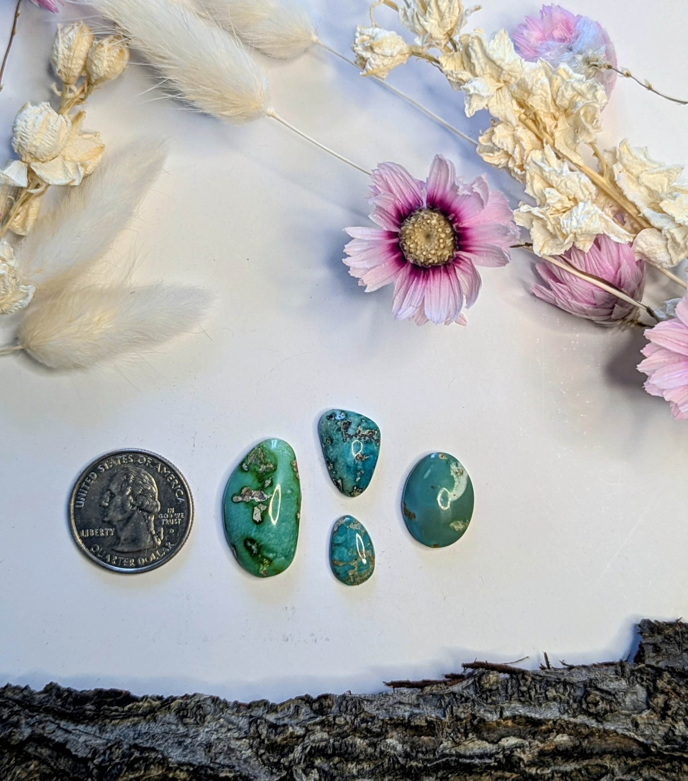 ✨Kingman Turquoise Cab Set 8✨