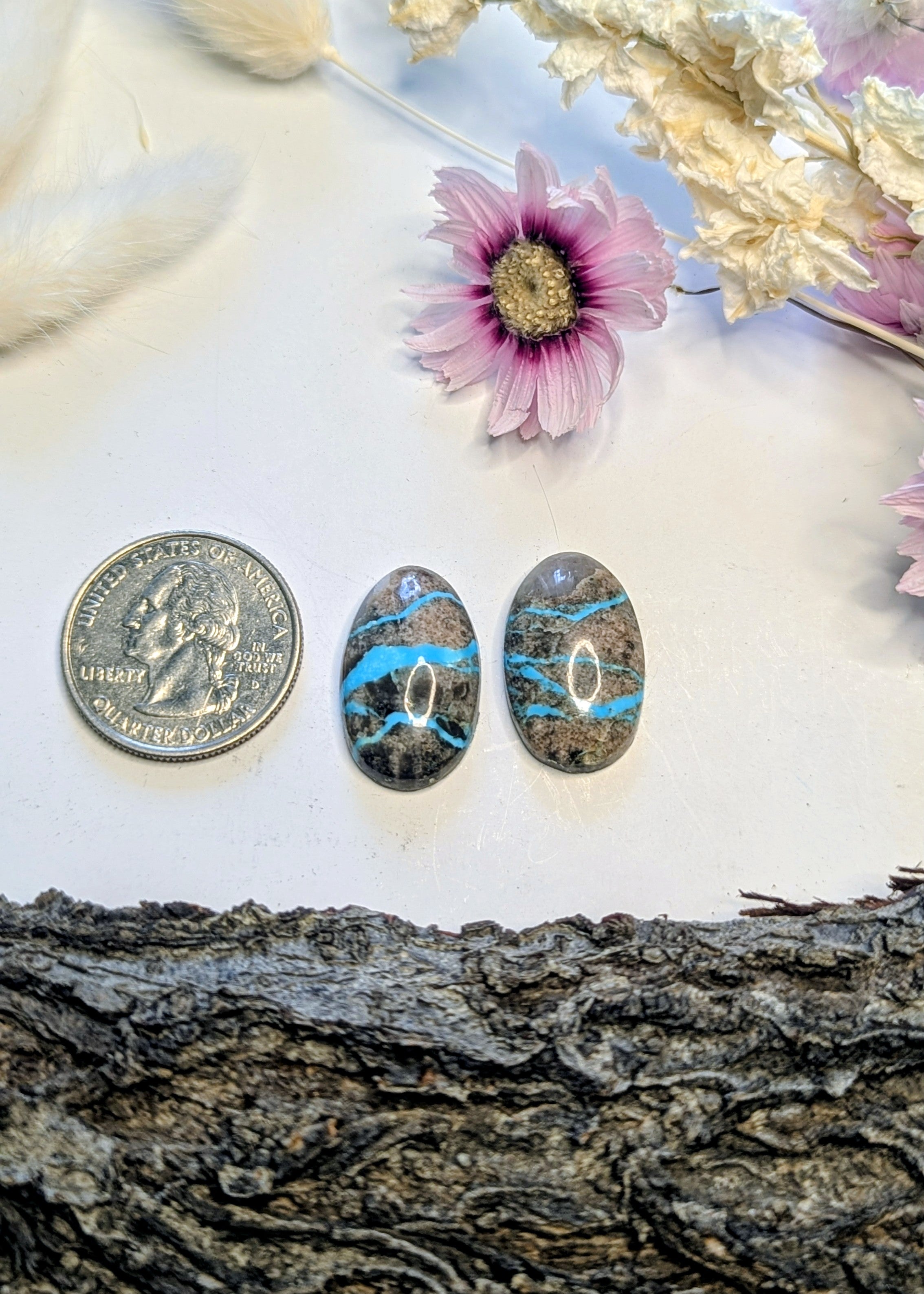 ✨ Fox Turquoise Oval Cabochon Set✨
