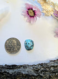✨ Nacozari Turquoise Round Cabochon✨