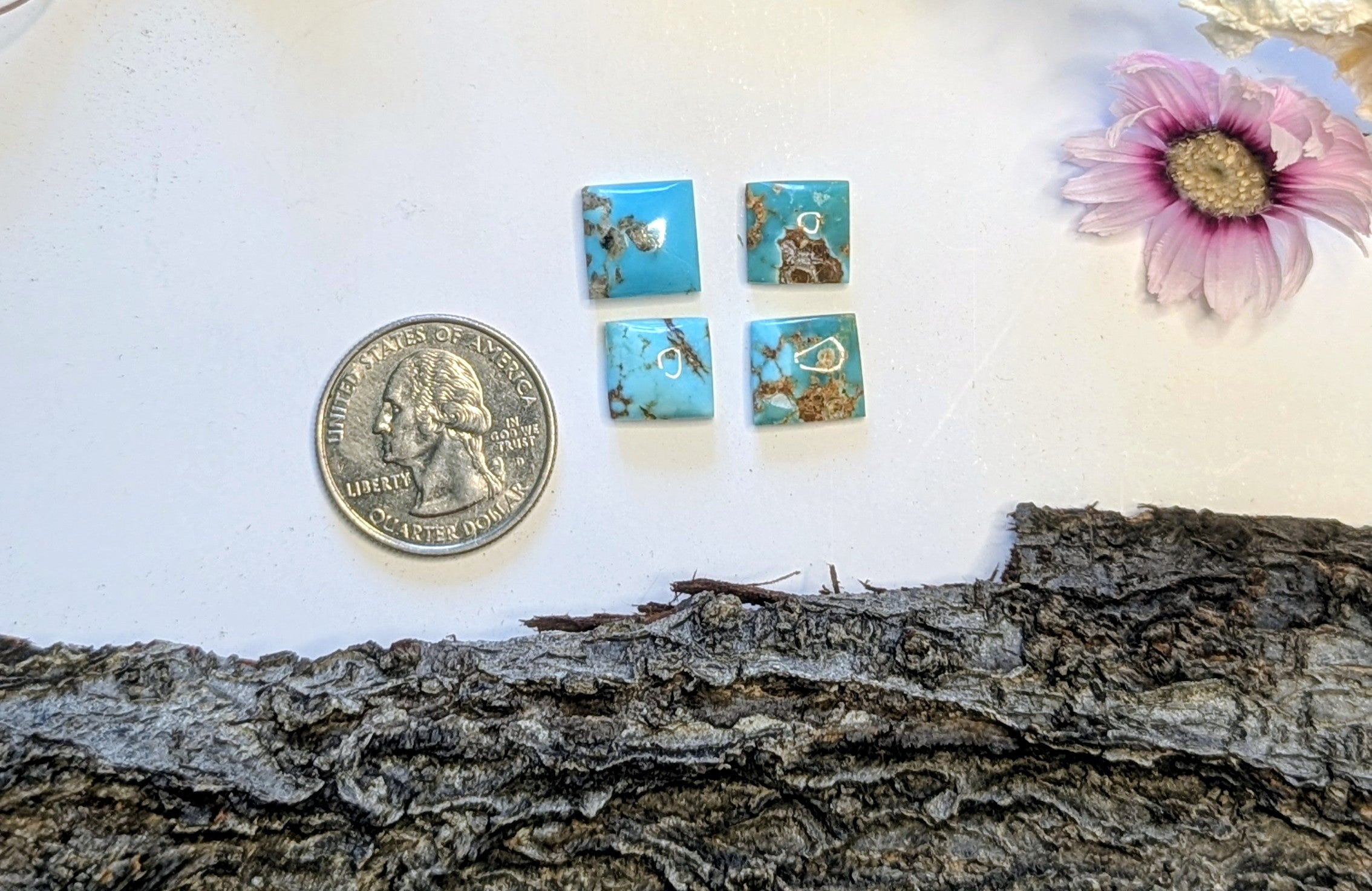 ✨Kingman Turquoise Cab Set 2✨