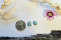 ✨Kingman Turquoise Cab Set 4✨