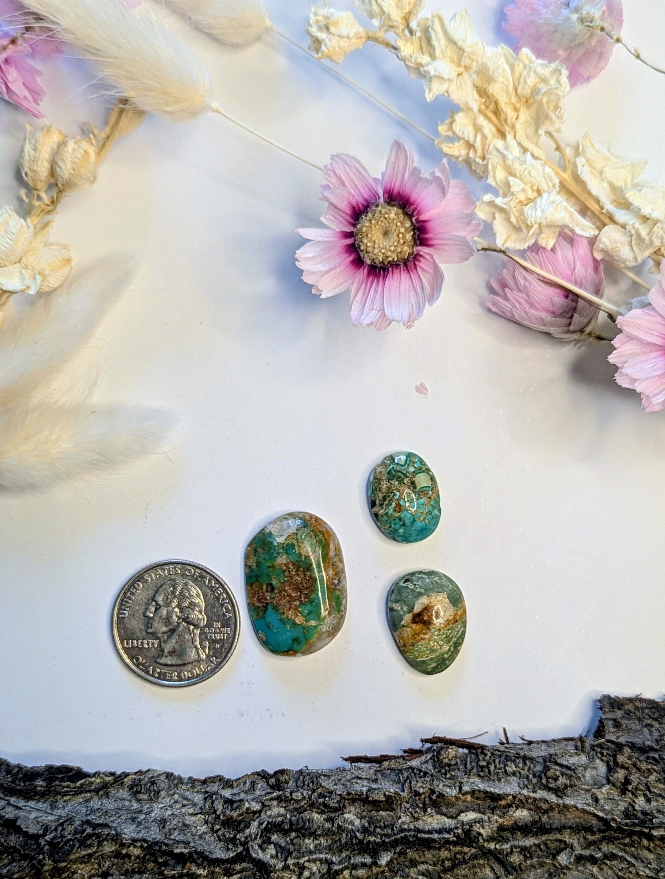 ✨Kingman Turquoise Cab Set 6✨