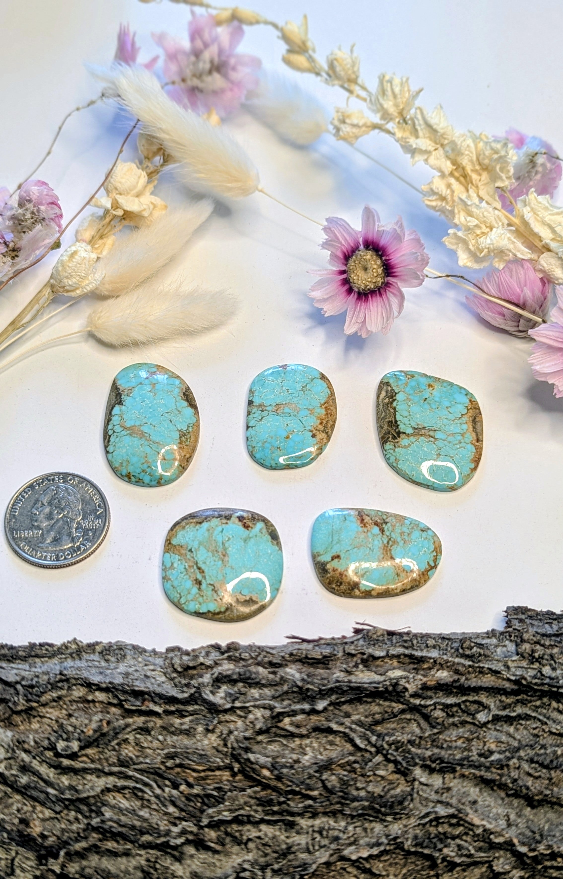 ✨ #8 Turquoise Cabochons – Collector Grade Beauty Set 1✨