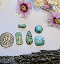 ✨ Hubei Turquoise Cabochon Set 1✨