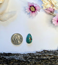 ✨ Goldweb Turquoise Tear Drop Cabochon ✨