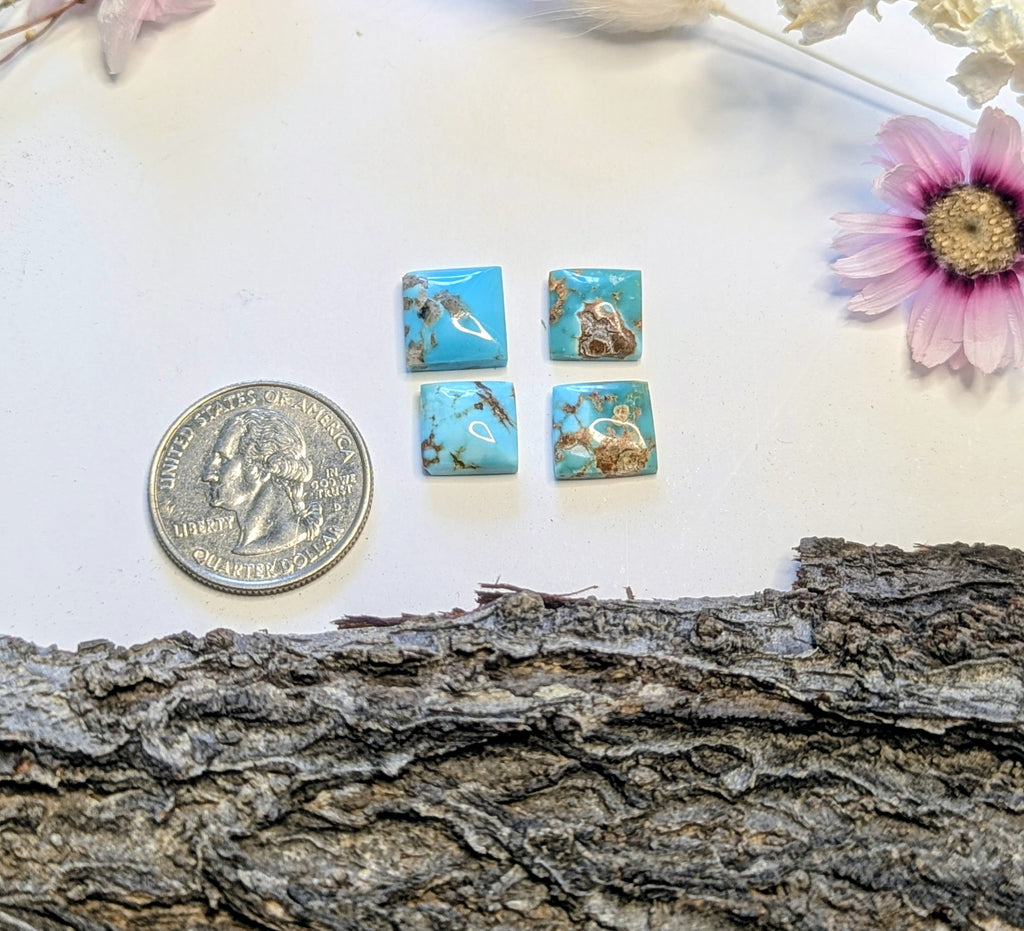 ✨Kingman Turquoise Cab Set 2✨